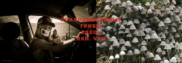 стафф Майский