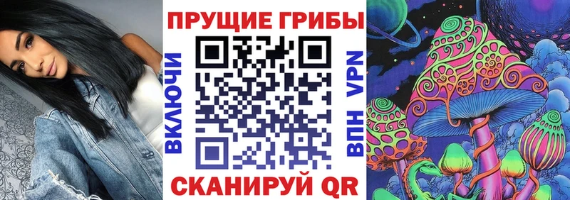 Псилоцибиновые грибы Psilocybe  Купить где  Мещовск 